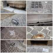 Sulmona: incuria e sporcizia in centro storico