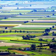 BREVI: controlli anticaporalato nelle aziende agricole del Fucino