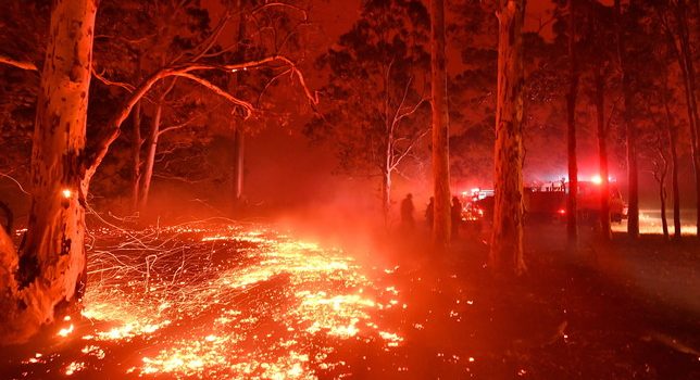 Australia, catastrofe ecologica: 480 milioni di animali e 24 persone morte negli incendi