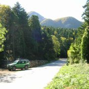 Carabinieri Forestali Abruzzo e Molise: bilancio attività 2019