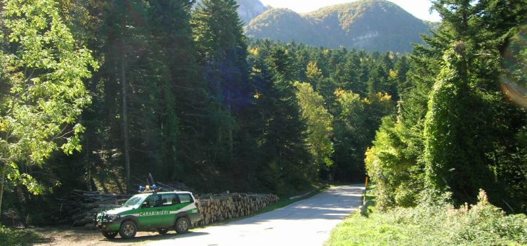 Carabinieri Forestali Abruzzo e Molise: bilancio attività 2019
